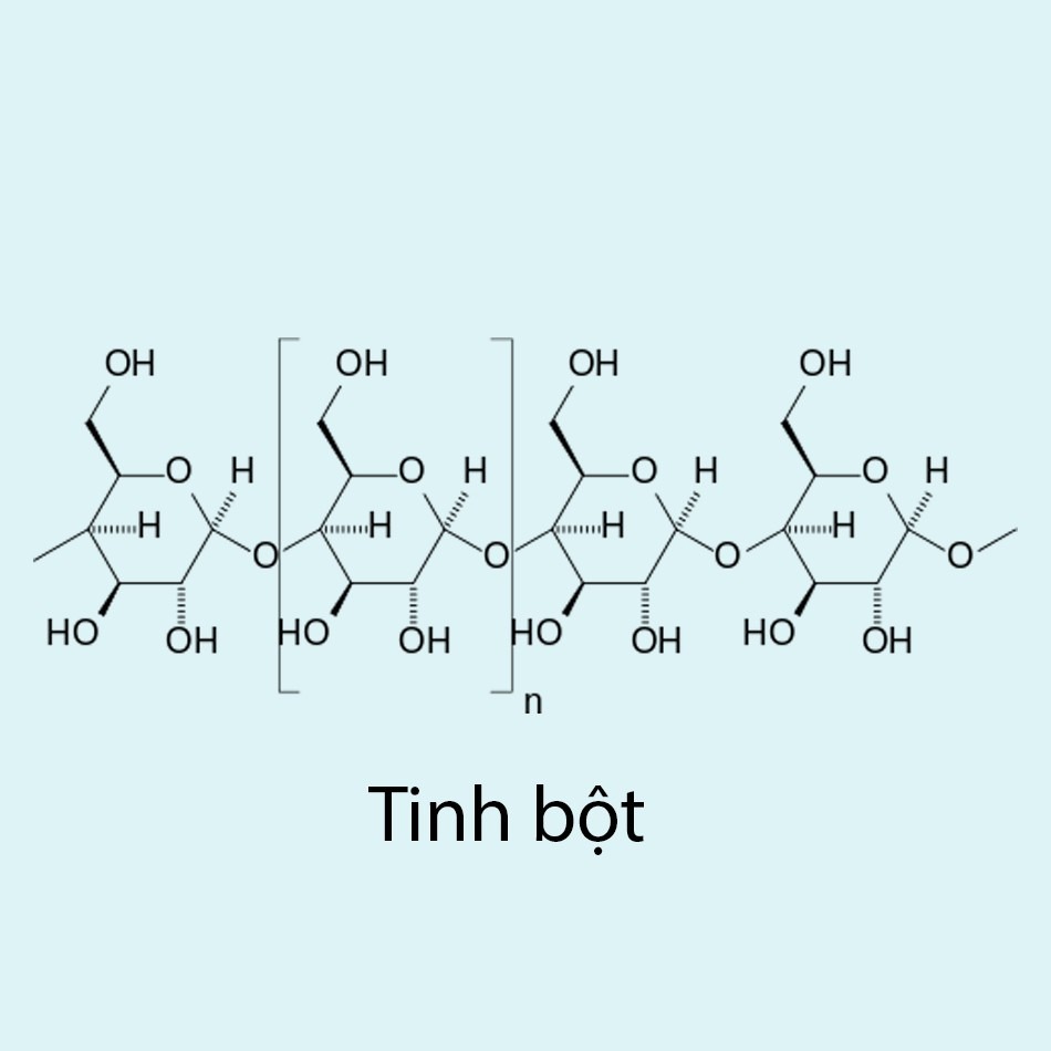 Cấu trúc hóa học của tinh bột